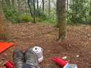 Breakfast in the rain under the cover of the trees