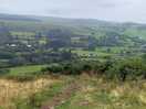 Views on the walks