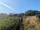 Exploring the area