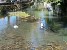 On stream running alongside of site