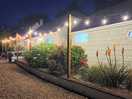 Night lights