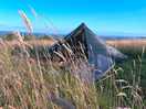 Lovely high grass