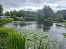 Small lake
