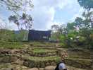 My village trex from payungcamp