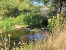 Local walks