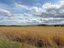 Across thr fields from the dog walk