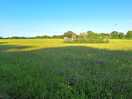 Walk to pub