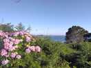 Vue de notre emplacement