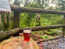 Nicest place for a drink