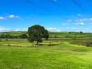 Peace and tranquility