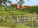 Farm