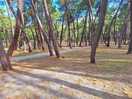 Lovely tranquil surroundings