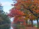 Canal to apledoorn