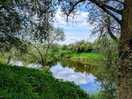 River severn walk into worcester