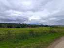 The lane to the site
