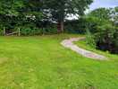 Wildlife also path around the like