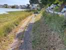 Walk along the creek