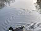 Lovely wildlife