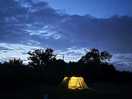 Night skies