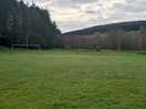 Glenlivet campsite