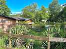 Lodge on pond