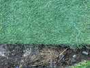 Another picture of the stones & concrete underneath the astroturf.