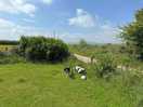 Site