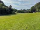 Large pitches