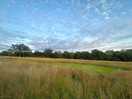 Beautiful field