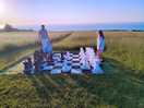 Playing chess