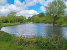 Fish in beautiful condition.