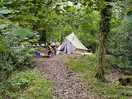 Wood camping