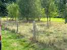 The field next to us