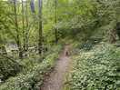 Riverside walk