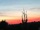 Peaceful evening sunset view from our pitch