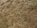 No grass pitch