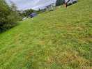 Lovely field