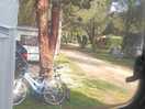 Lovely big pitches, gravel or earth, with trees for privacy.