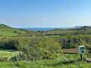 View from pitches