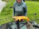 Some lovely fish , though a bit shy the week we went