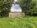 View from the dog exercise field!