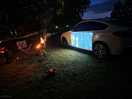A nice evening cinema setup by the pond.