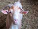 You lookin at me?