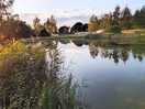 Fishing pond
