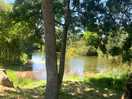 River beside campsite