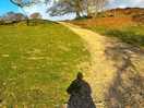 The walk up