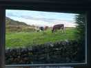 View from the living room