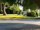 Across the drive 2 deer! very realistic