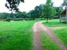 Around site