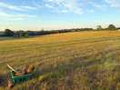 View of the site from our pitch